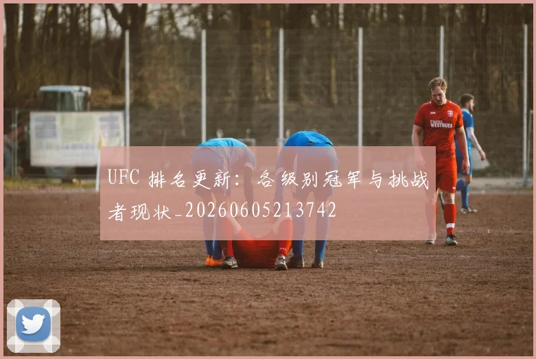 UFC 排名更新:各级别冠军与挑战者现状_20260605213742