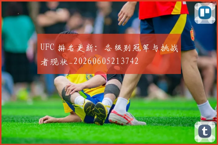 UFC 排名更新:各级别冠军与挑战者现状_20260605213742