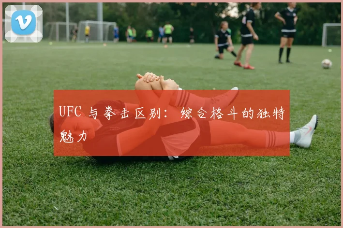 UFC 与拳击区别:综合格斗的独特魅力
